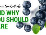 Free Radicals Antioxidants